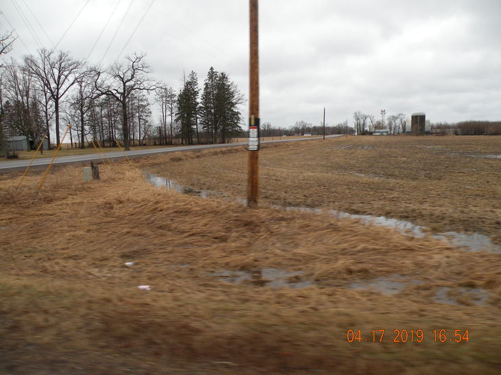 Photographic Image