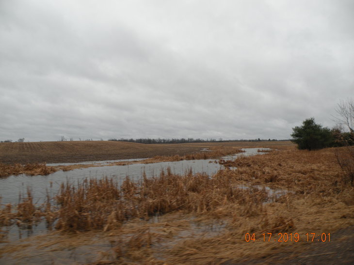 Photographic Image