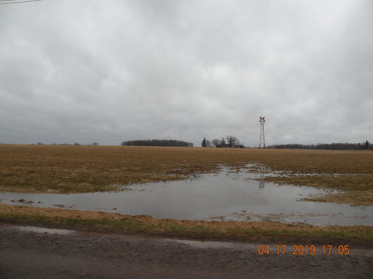 Photographic Image